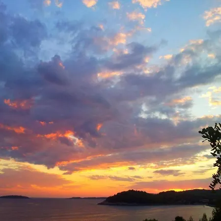 Zaknic * 普瑞兹巴