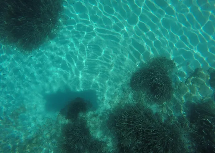 Апартаменты Zaknic